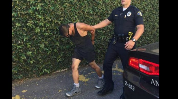 police caught a thief