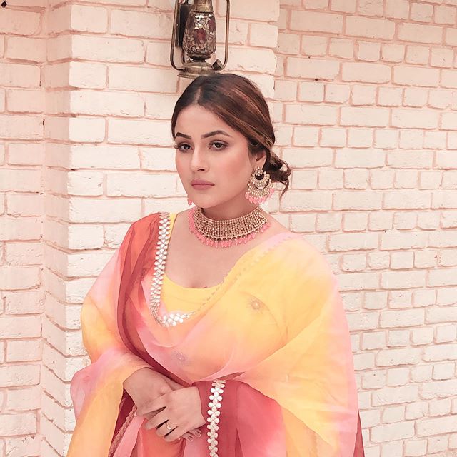 Shehnaz Gill Bigg Boss 13