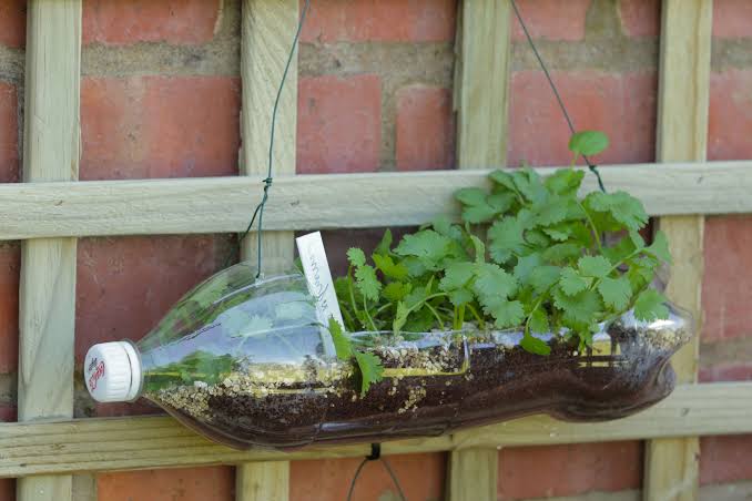 The inexpensive DIY idea to use plastic bottles