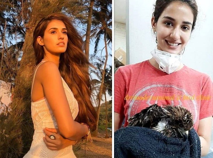 Disha Patani Takes Injured ‘EAGLE’ To Hospital Amid Coronavirus Lockdown