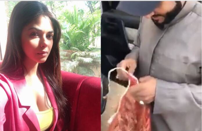Meera Chopra Angry On A Man Who Eats Locust
