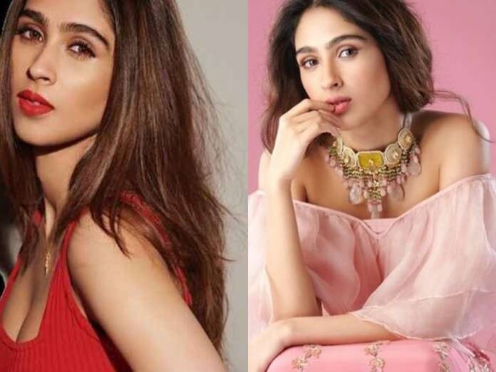 Hrithik Roshan’s Sister Pashmina Ready For Bollywood Debut