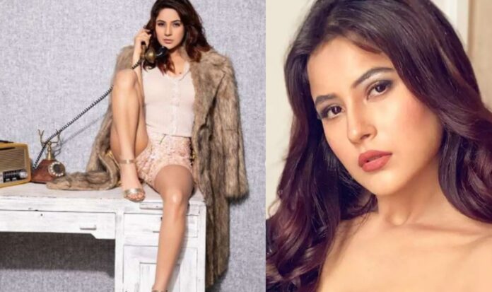 Shehnaaz Gill Melts Down The Internet With Her Fresh Photo Shoots