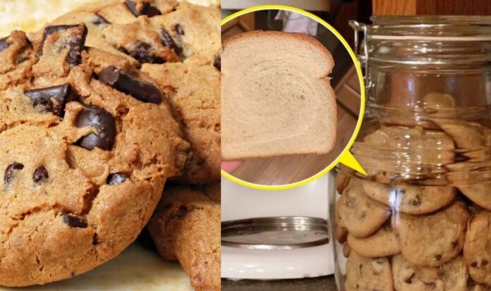 Clever Tricks To Make The Food Stay Fresh For Longer Without Fridge