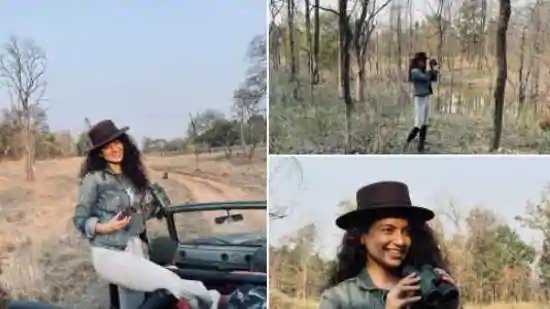 Kangana at Satpura tiger reserve