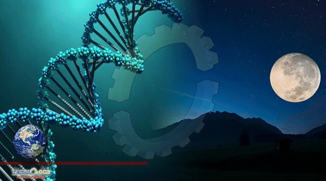 DNA on Moon