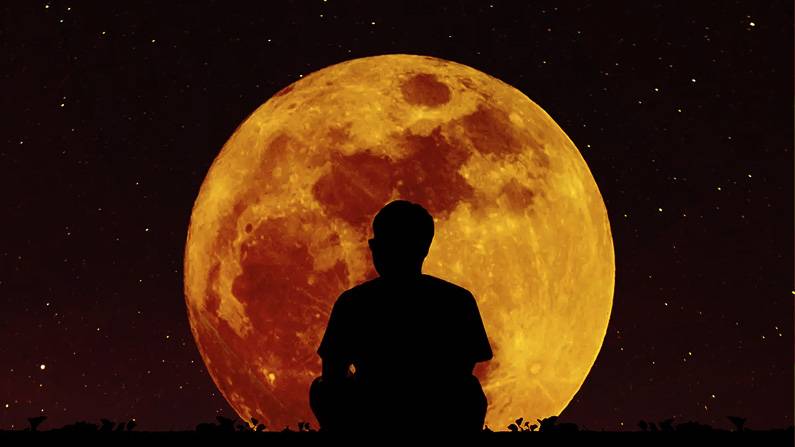 DNA on Moon