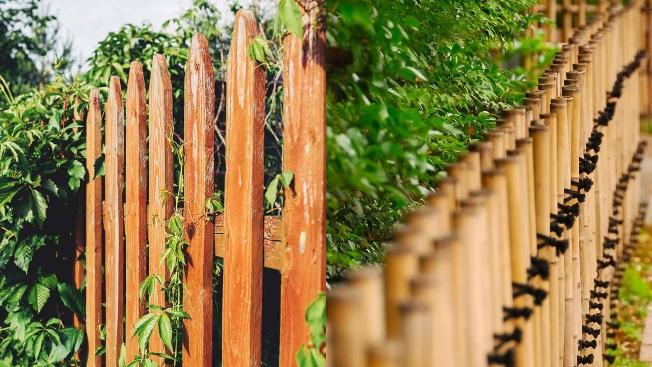 Garden fence