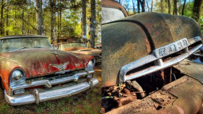 car cemetery