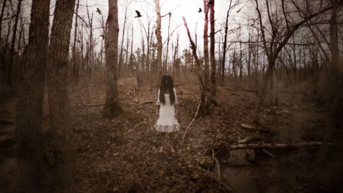 Most Scariest Forests On The Planet That Will Give You Goosebumps