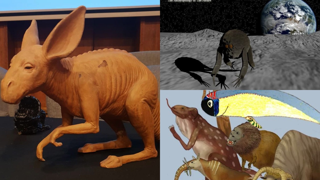 evolution