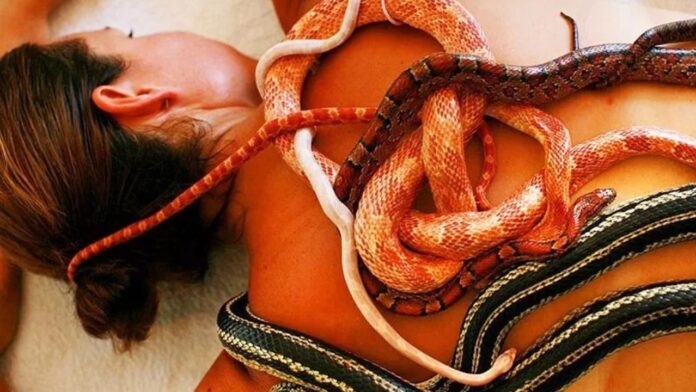 Snake Massage