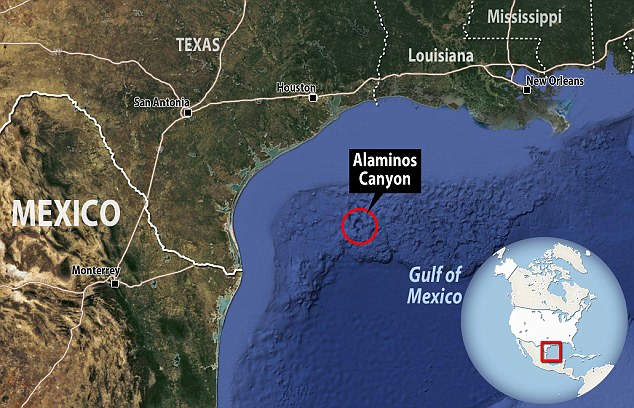 Alien squid in gulf of Mexico