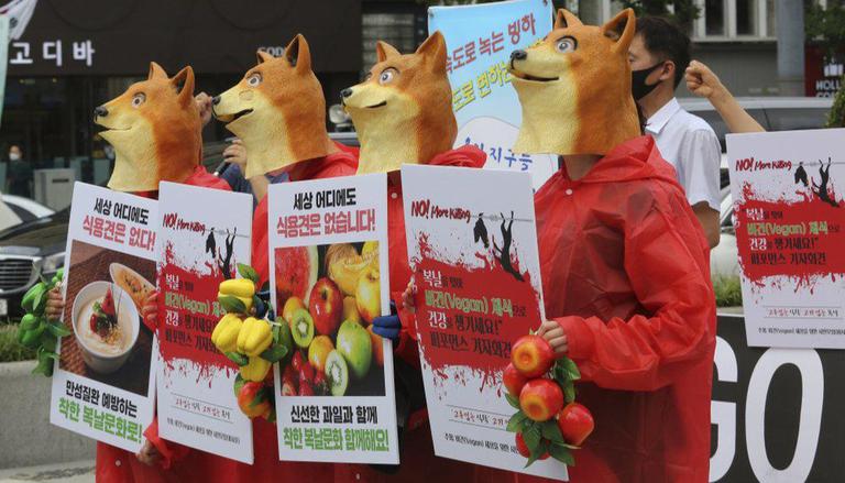 Dog meat ban south Korea