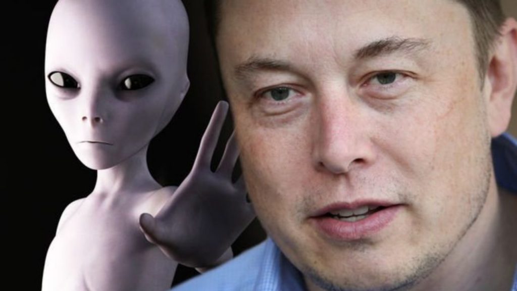 Facts about Elon musk