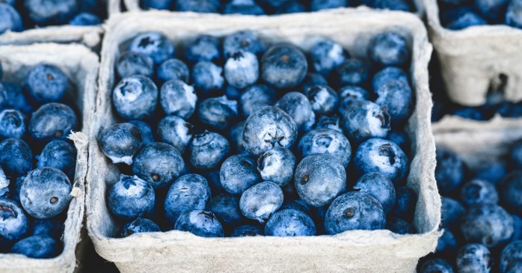 Foods That Slows Down Aging Process