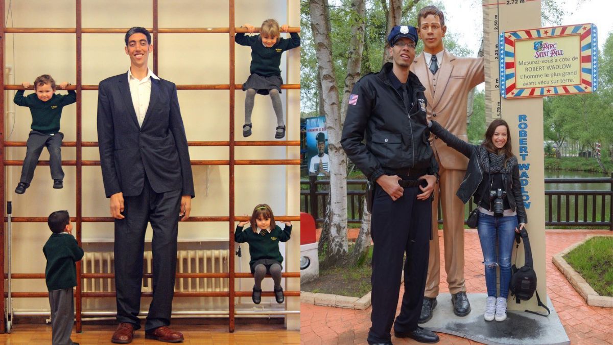 Tallest Man In The World 2025 Dru Aeriela
