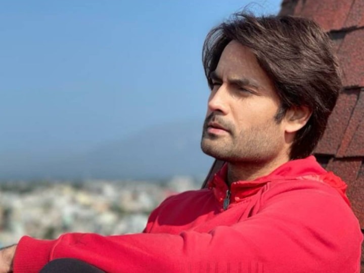 Vivian Dsena