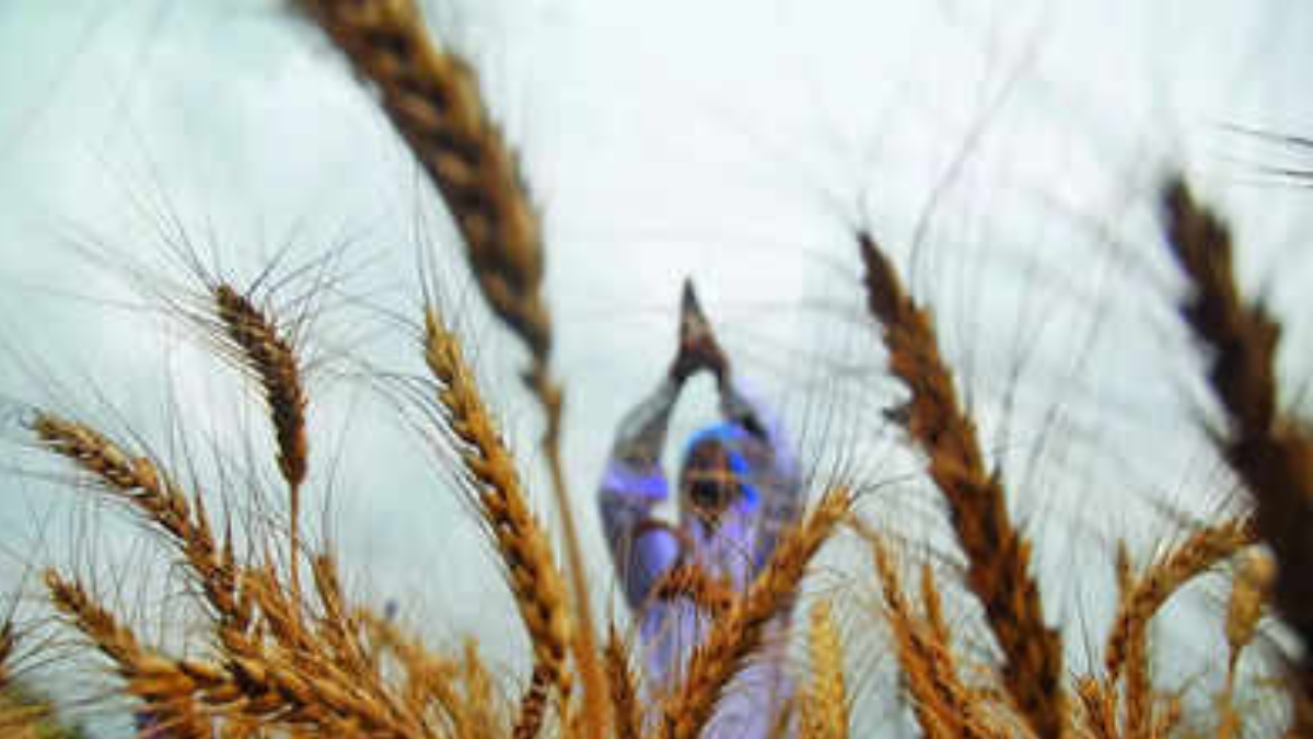 Government limits stock holding after 15 years; might result in cool prices