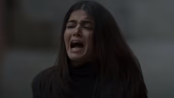 Charlie Chopra & The Mystery Of Solang Valley trailer looks ravishing