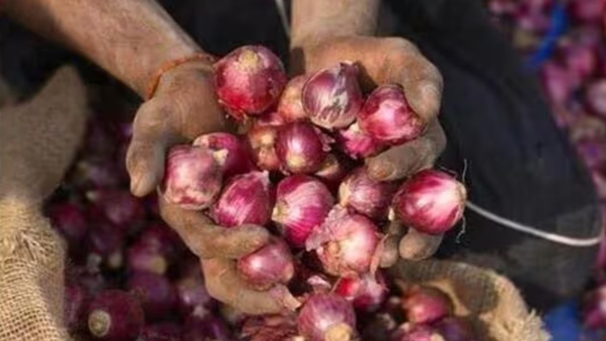 Govt puts restraints on onion export as rates increases