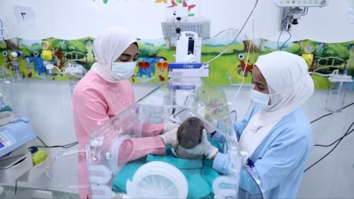 Five premature babies discovered dead at Gaza City hospital, claims Hamas