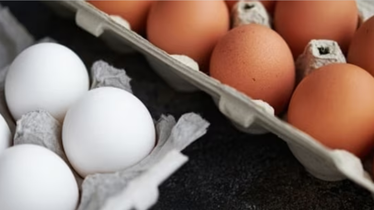 In Pakistan, a dozen eggs costs this whopping amount!