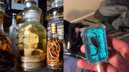 Most Disgusting Asian Treats