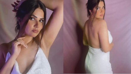 Abha Paul