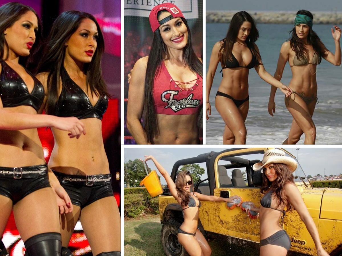 wwe diva bella twins bikini